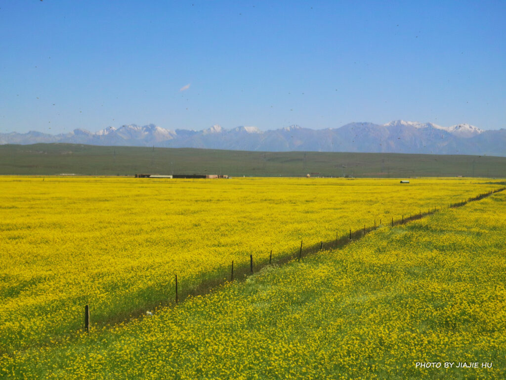 Outside of train window, Qinghai