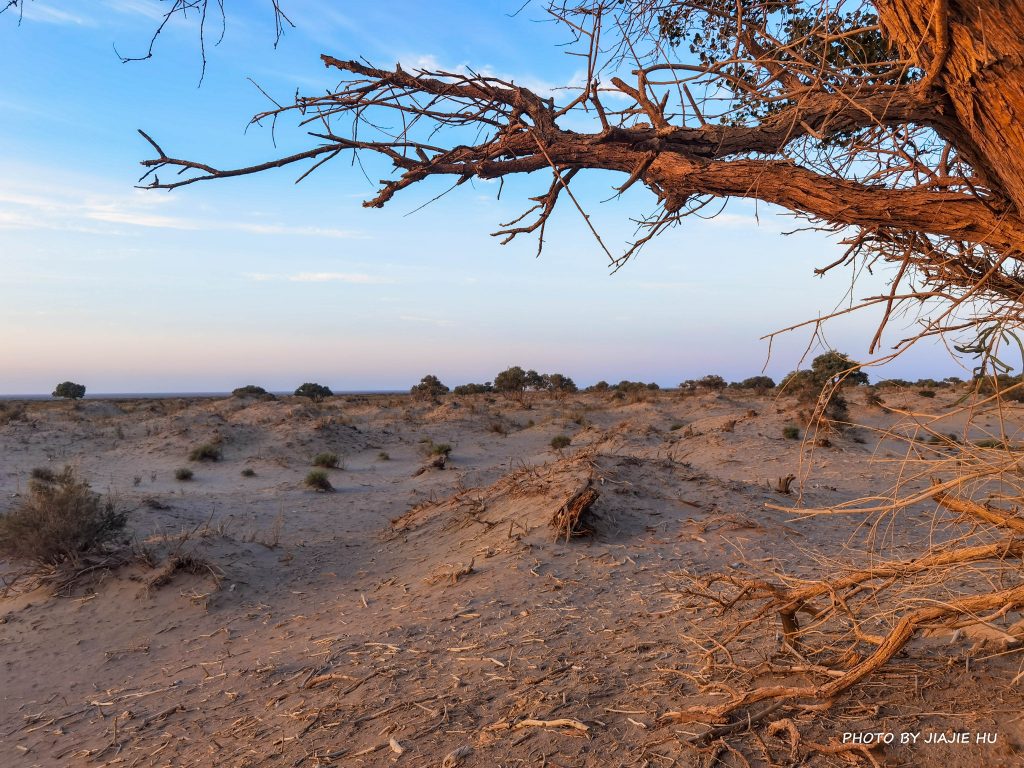 The East of Milan Town, Bayingolin, Xinjiang
