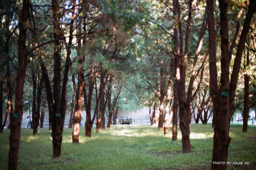 The “Sea” at the Temple of Earth